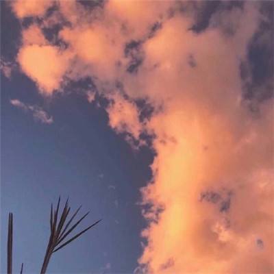 逆鳞传说手游下载